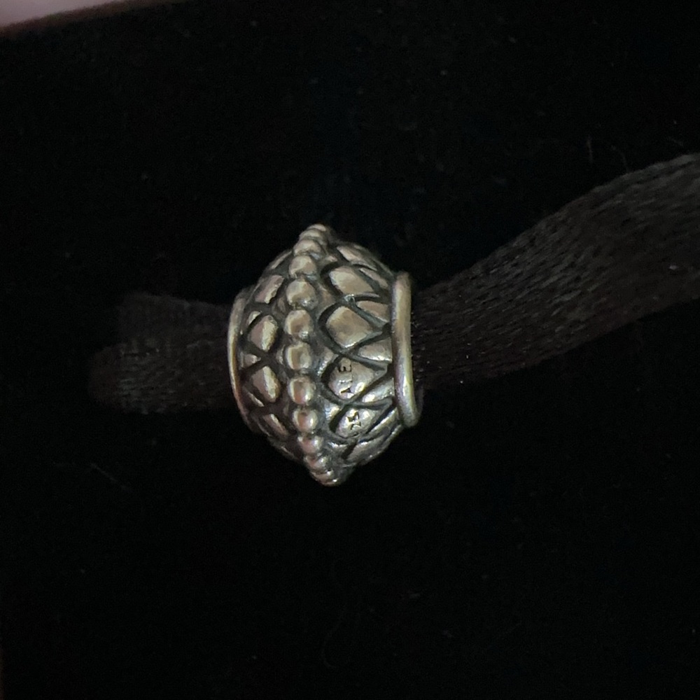 Pandora INNER STRENGTH Bead Charm